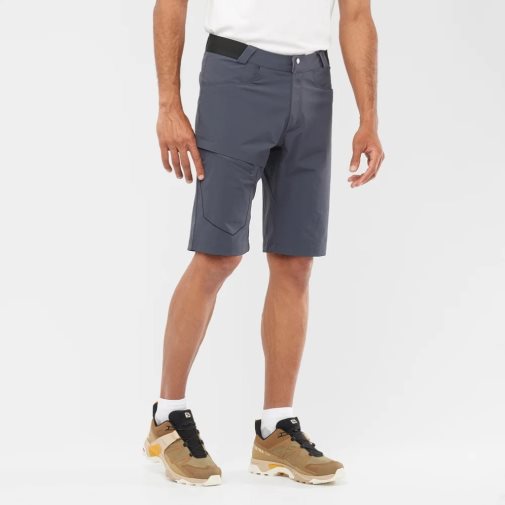 Navy Salomon Wayfarer Men's Shorts | PH 23459F